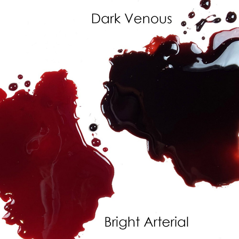Stage Blood - Bright Arterial 270ml